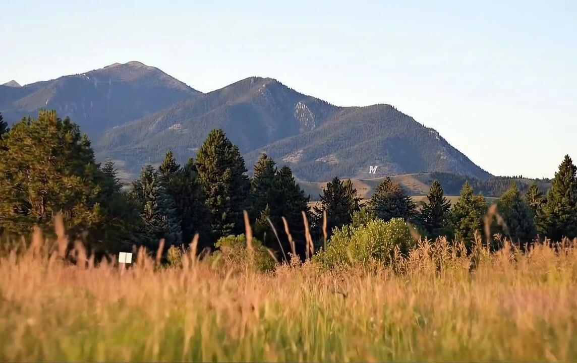 The Summits
